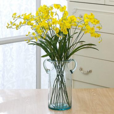 Handblown Glass Vase with Handles for Modern Home Decor